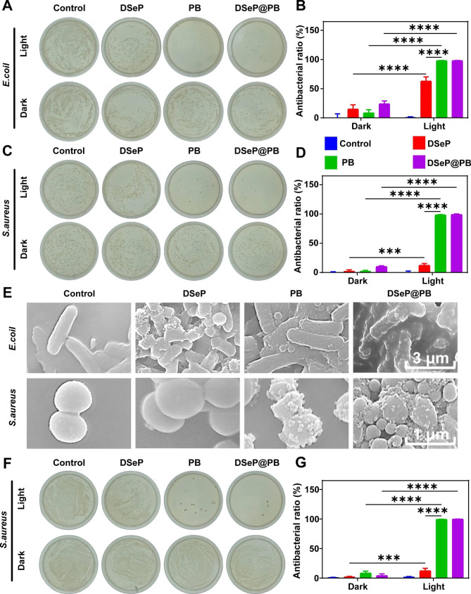 Selenide-linked polydopamine-reinforced hybrid hydrogels with on-demand degradation and light-triggered nanozyme release for diabetic wound healing.