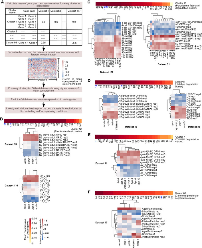 Systems-level transcriptional regulation of Caenorhabditis elegans metabolism.