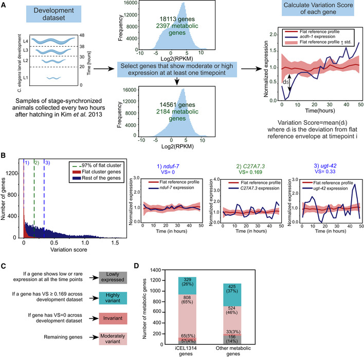 Systems-level transcriptional regulation of Caenorhabditis elegans metabolism.