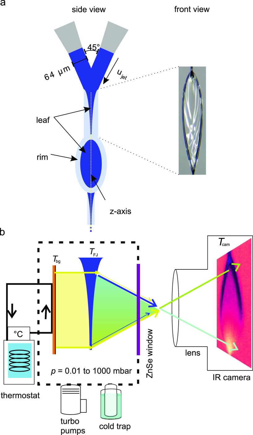 Imaging temperature and thickness of thin planar liquid water jets in vacuum.