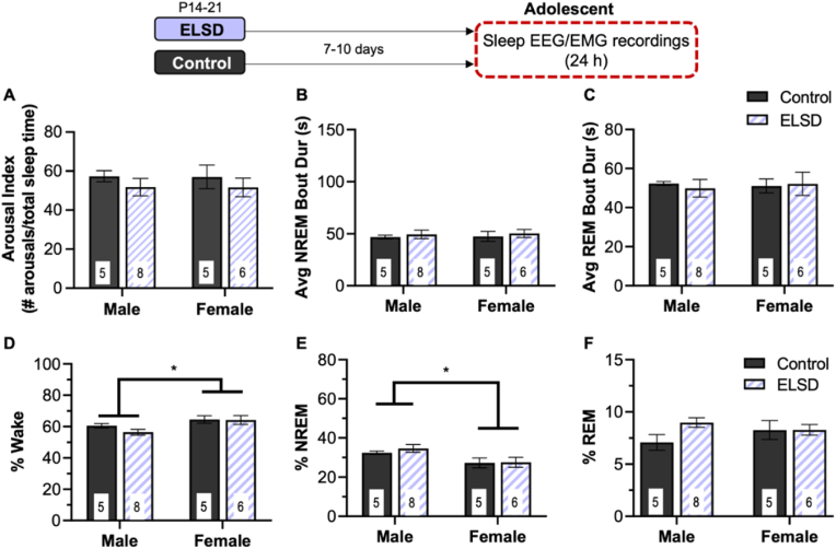 Early life sleep disruption has long lasting, sex specific effects on later development of sleep in prairie voles