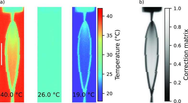 Imaging temperature and thickness of thin planar liquid water jets in vacuum.