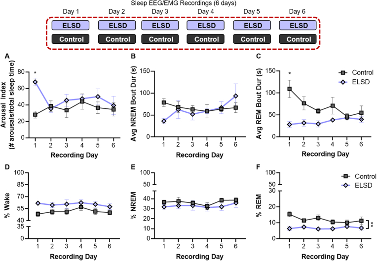 Early life sleep disruption has long lasting, sex specific effects on later development of sleep in prairie voles