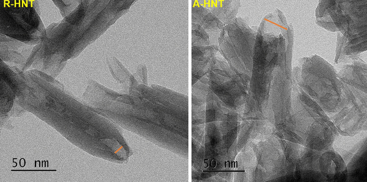 Halloysite Nanotube as a Functional Material for Active Food Packaging Application: A Review