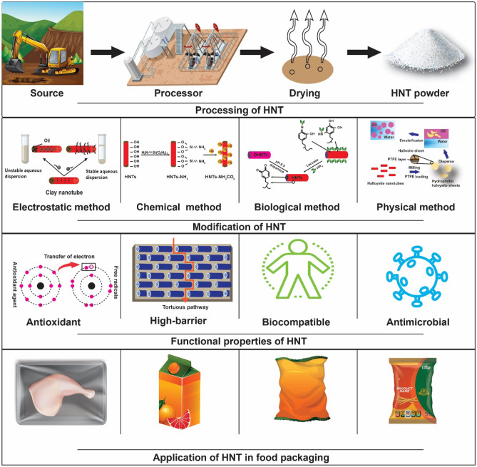 Halloysite Nanotube as a Functional Material for Active Food Packaging Application: A Review