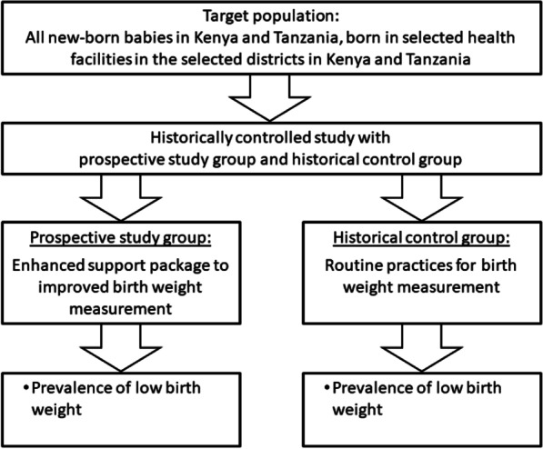 Improving birth weight measurement and recording practices in Kenya and Tanzania: a prospective intervention study with historical controls.