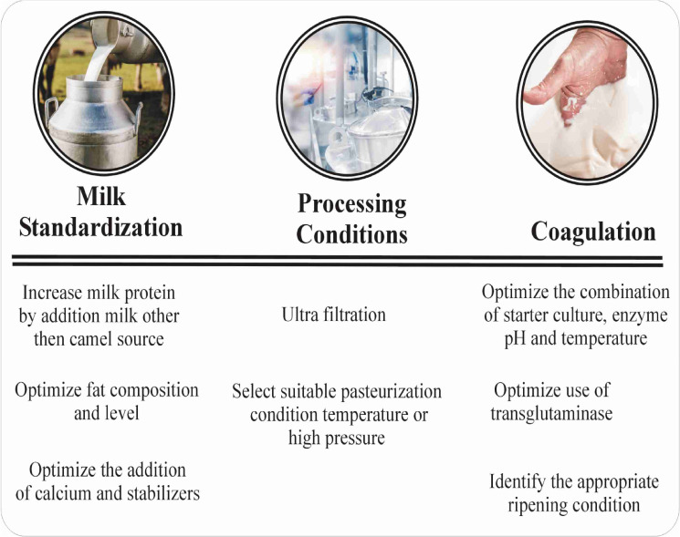 A Review on Processing Opportunities for the Development of Camel Dairy Products.