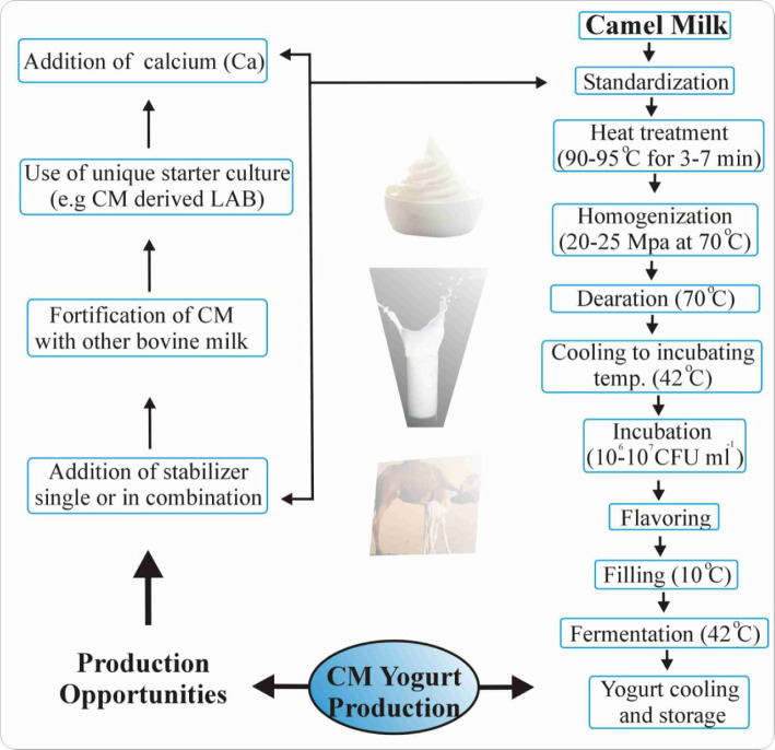 A Review on Processing Opportunities for the Development of Camel Dairy Products.