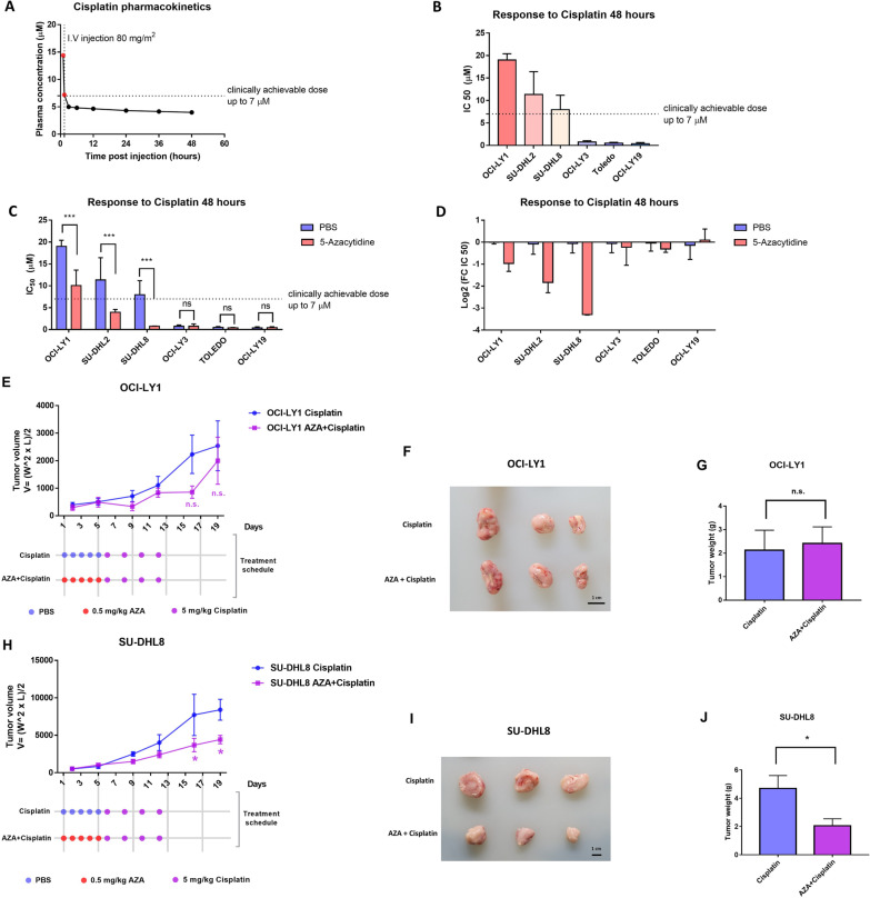 Epigenetic priming improves salvage chemotherapy in diffuse large B-cell lymphoma via endogenous retrovirus-induced cGAS-STING activation.