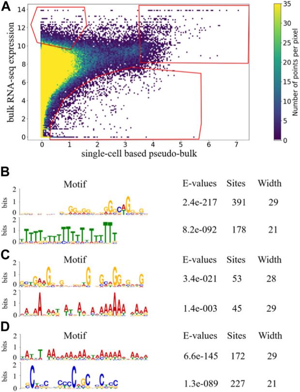 Gene representation in scRNA-seq is correlated with common motifs at the 3' end of transcripts.