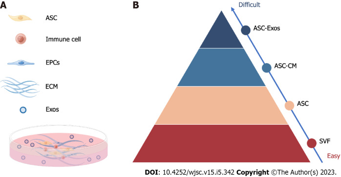 Advancements in adipose-derived stem cell therapy for skin fibrosis.