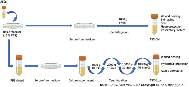 Advancements in adipose-derived stem cell therapy for skin fibrosis.