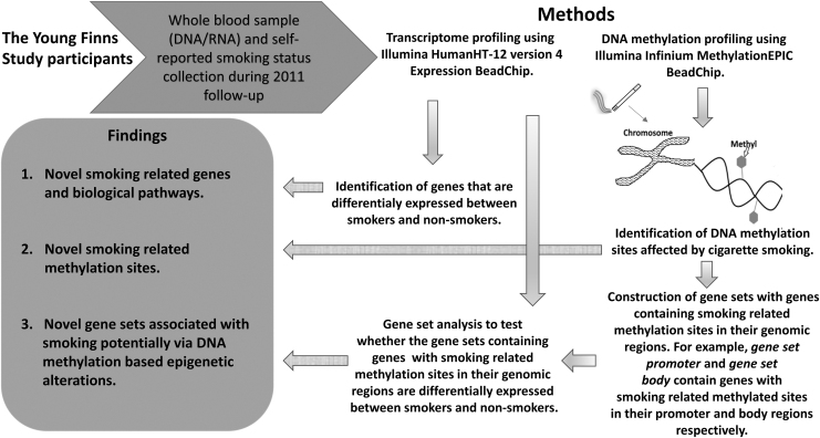 Gene Set Based Integrated Methylome and Transcriptome Analysis Reveals Potential Molecular Mechanisms Linking Cigarette Smoking and Related Diseases.