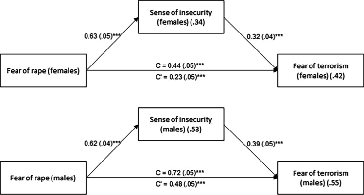 A Model for Predicting Fear of Terrorism through Fear of Crime, Gender, Locus of Control and Coping Strategies.