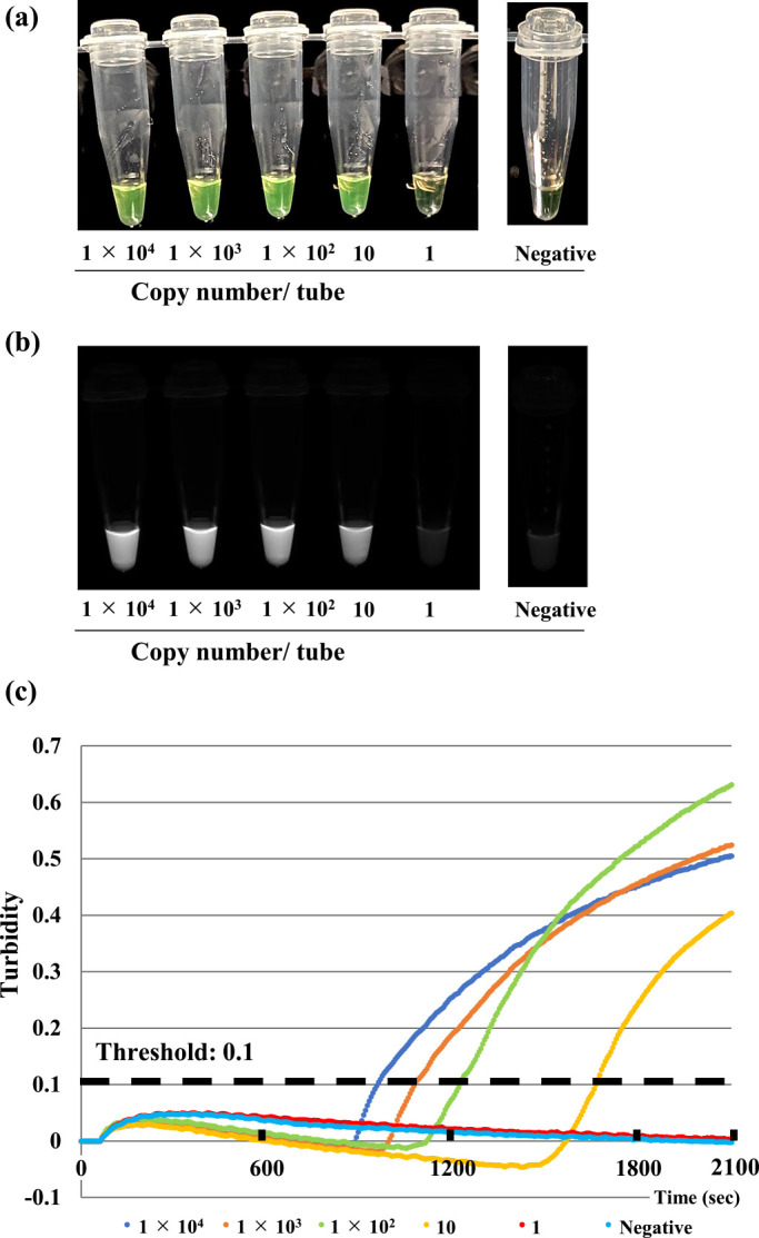 Dry loop-mediated isothermal amplification assay for detection of SARS-CoV-2 from clinical specimens.