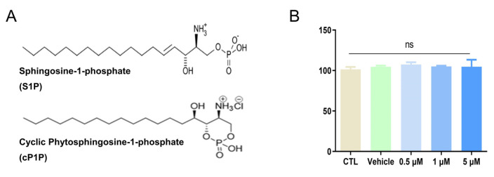 Cyclic Phytosphingosine-1-Phosphate Primed Mesenchymal Stem Cells Ameliorate LPS-Induced Acute Lung Injury in Mice.