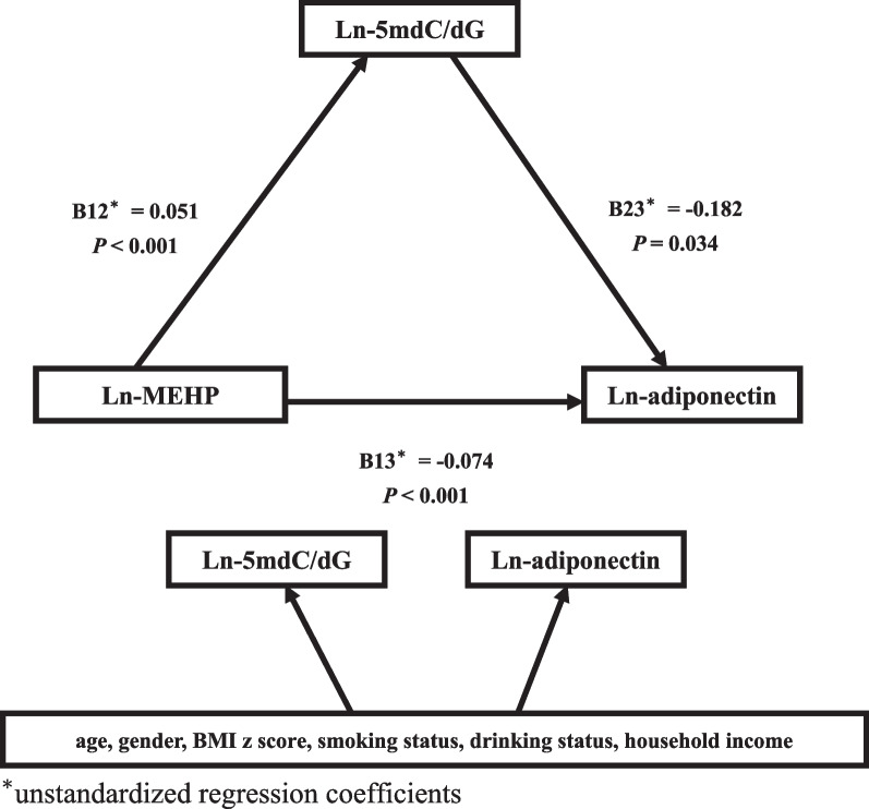 The role of angiotensin I-converting enzyme gene polymorphism and global DNA methylation in the negative associations between urine di-(2-ethylhexyl) phthalate metabolites and serum adiponectin in a young Taiwanese population.