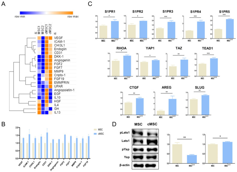 Cyclic Phytosphingosine-1-Phosphate Primed Mesenchymal Stem Cells Ameliorate LPS-Induced Acute Lung Injury in Mice.