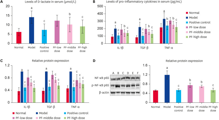 Therapeutic effects of paeoniflorin on irritable bowel syndrome in rats.