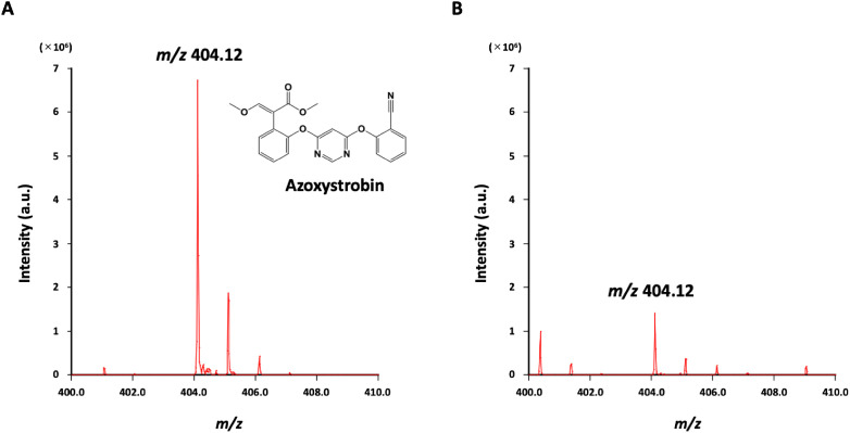 Visualization of azoxystrobin penetration in wheat leaves using mass microscopy imaging.