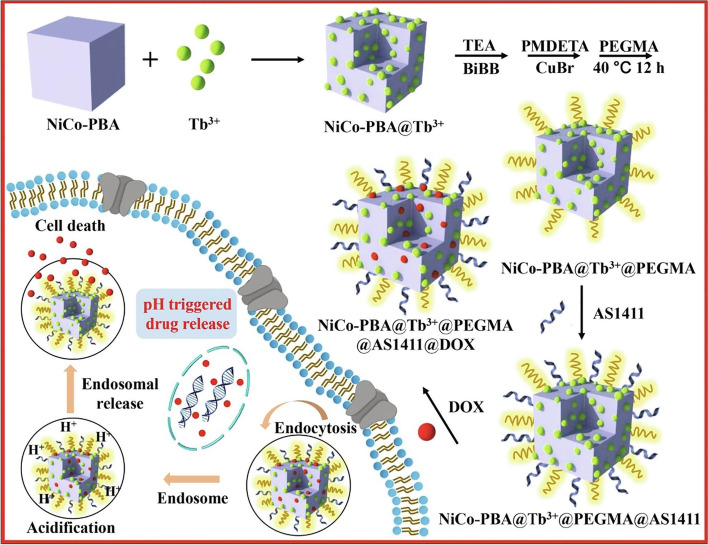 Advanced cancer targeting using aptamer functionalized nanocarriers for site-specific cargo delivery.