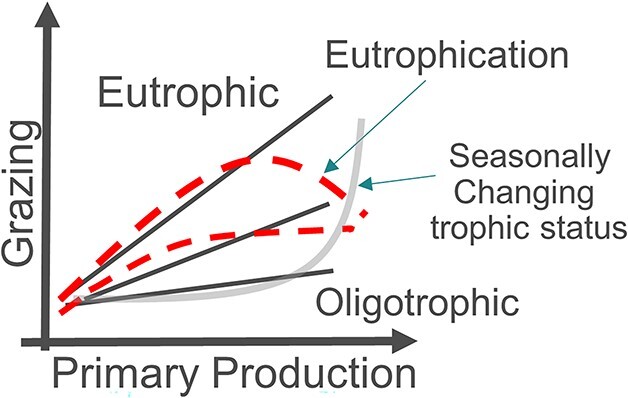 Should we reconsider how to assess eutrophication?