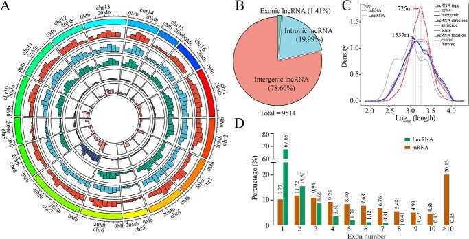 LncRNA109897-JrCCR4-JrTLP1b forms a positive feedback loop to regulate walnut resistance against anthracnose caused by <i>Colletotrichum gloeosporioides</i>.