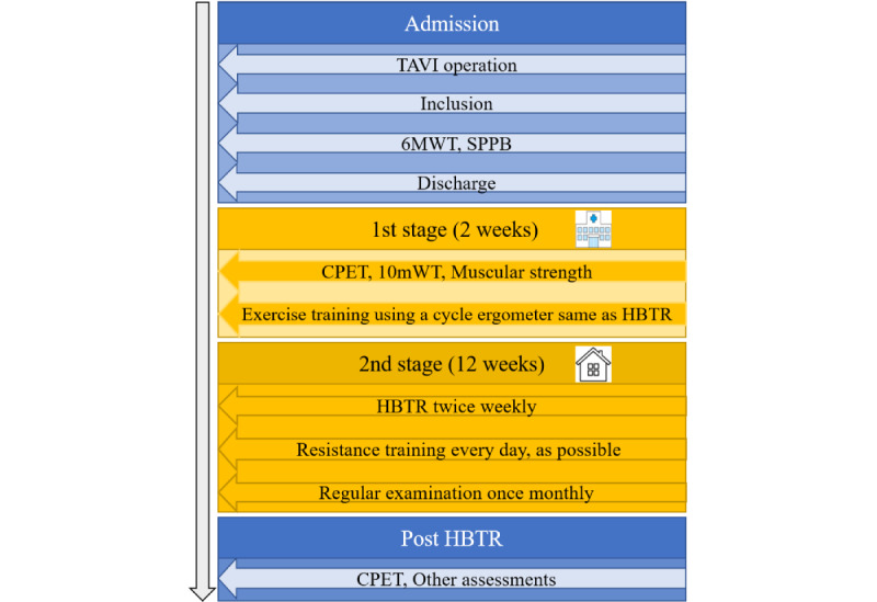 Efficacy and Safety of Home-Based Cardiac Telemonitoring Rehabilitation in Patients After Transcatheter Aortic Valve Implantation: Single-Center Usability and Feasibility Study.