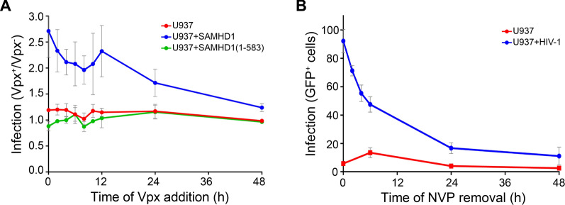 Attenuation of reverse transcriptase facilitates SAMHD1 restriction of HIV-1 in cycling cells.