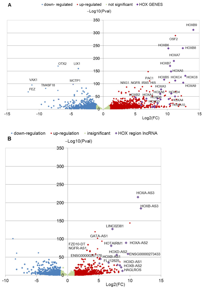 Transcription of <i>HOX</i> Genes Is Significantly Increased during Neuronal Differentiation of iPSCs Derived from Patients with Parkinson's Disease.