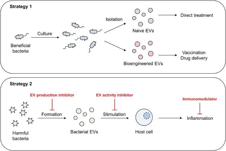 Bacterial Extracellular Vesicles: A Candidate Molecule for the Diagnosis and Treatment of Allergic Diseases.