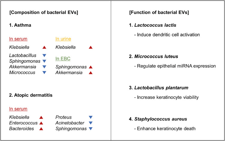 Bacterial Extracellular Vesicles: A Candidate Molecule for the Diagnosis and Treatment of Allergic Diseases.