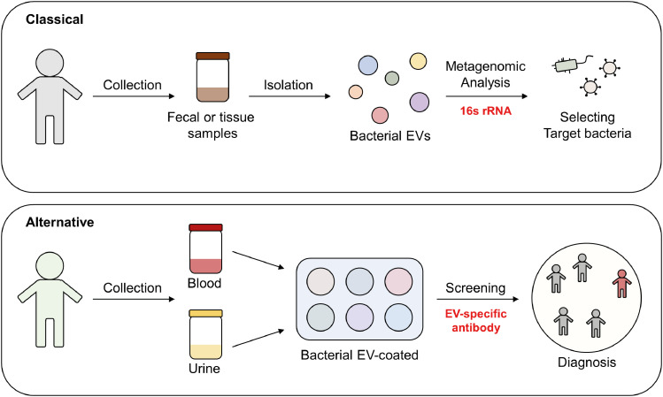 Bacterial Extracellular Vesicles: A Candidate Molecule for the Diagnosis and Treatment of Allergic Diseases.