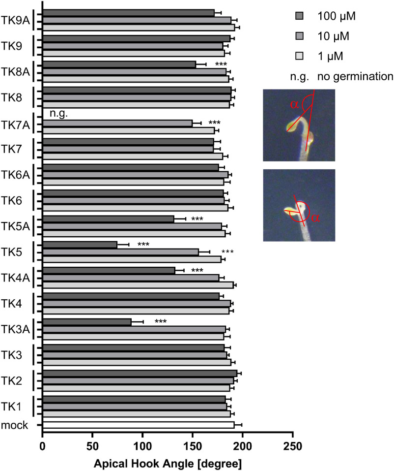 Cycloprop-2-ene-1-carboxylates: Potential chemical biology tools in the early growth stage of <i>Arabidopsis thaliana</i>.