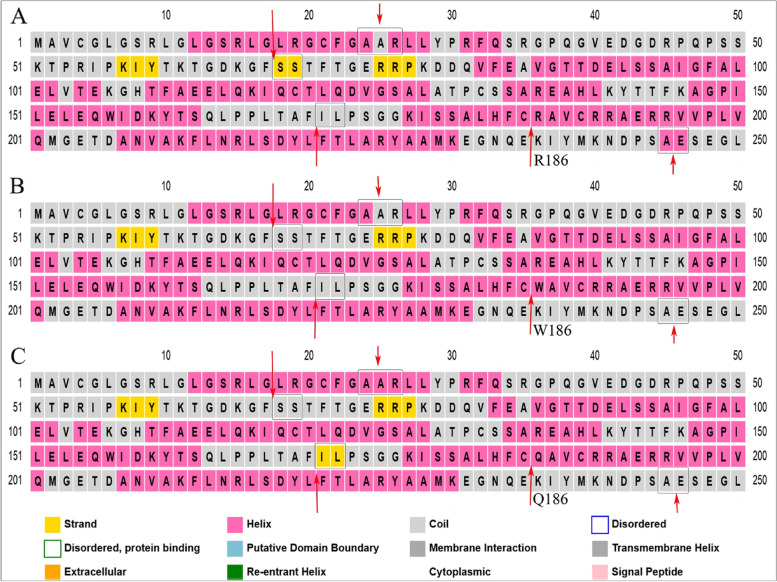 Identifying and predicting the pathogenic effects of a novel variant inducing severe early onset MMA: a bioinformatics approach.