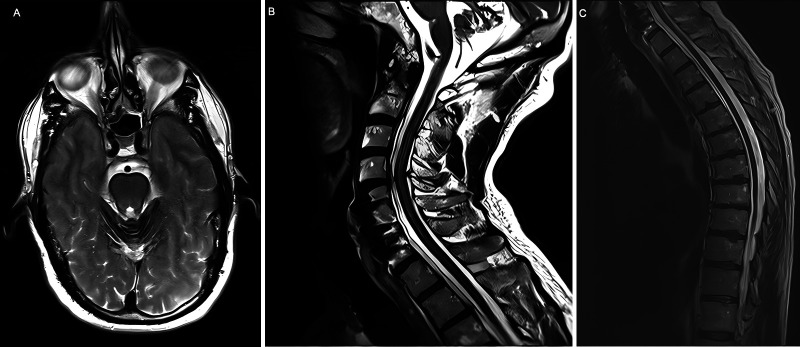 Abstract Image