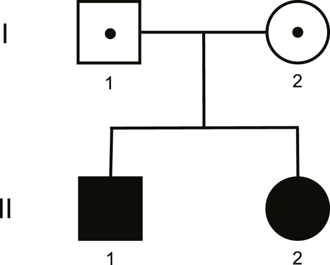 Isolated Proteinuria Caused by <i>CUBN</i> Gene Mutations: A Case Report and Review of the Literature.