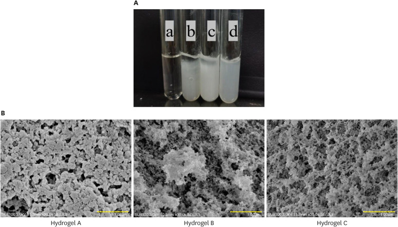 Sustained release of alginate hydrogel containing antimicrobial peptide Chol-37(F34-R) <i>in vitro</i> and its effect on wound healing in murine model of <i>Pseudomonas aeruginosa</i> infection.