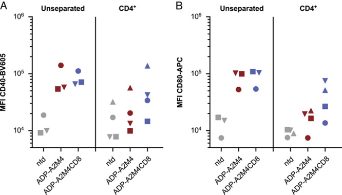 Enhancing Efficacy of TCR-engineered CD4 + T Cells Via Coexpression of CD8α.