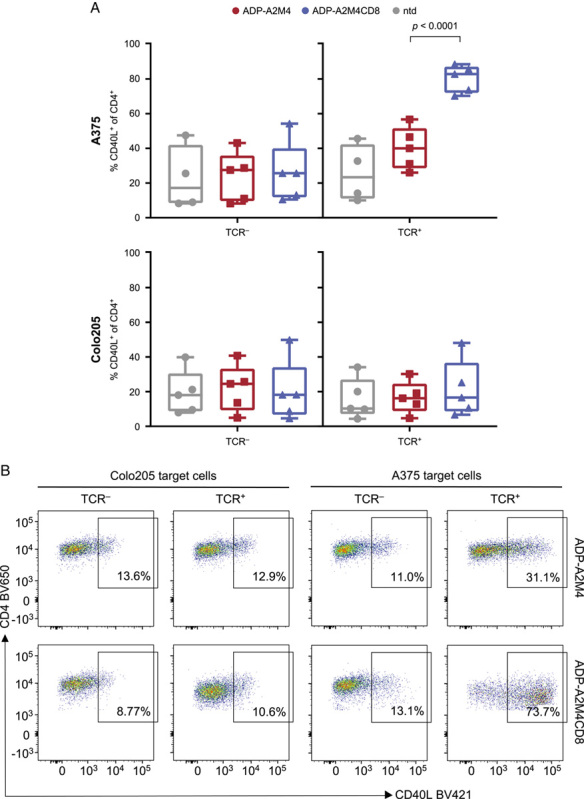 Enhancing Efficacy of TCR-engineered CD4 + T Cells Via Coexpression of CD8α.