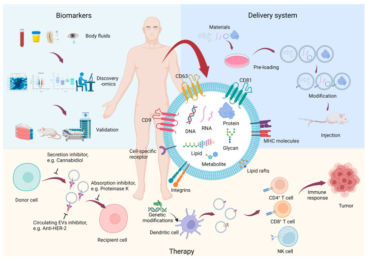 Proteomic Research of Extracellular Vesicles in Clinical Biofluid.