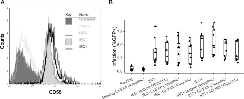 Intestinal endothelial cells increase HIV infection and latency in resting and activated CD4 + T cells, particularly affecting CCR6 + CD4 + T cells.