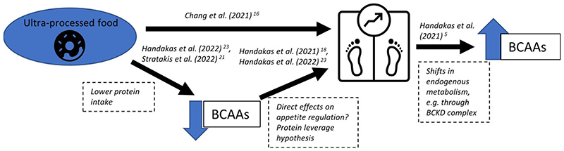 The contribution to policies of an exposome-based approach to childhood obesity.