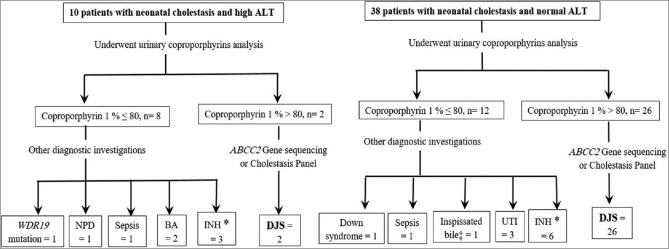 Urinary coproporphyrins as a diagnostic biomarker of Dubin-Johnson syndrome in neonates: A diagnostic pathway is proposed.