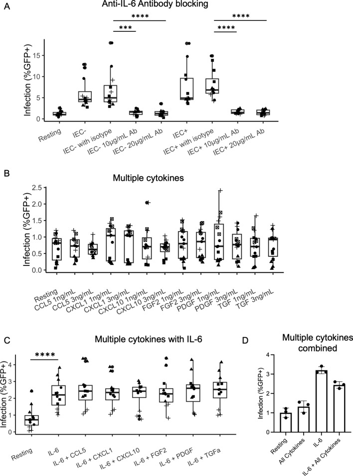 Intestinal endothelial cells increase HIV infection and latency in resting and activated CD4 + T cells, particularly affecting CCR6 + CD4 + T cells.