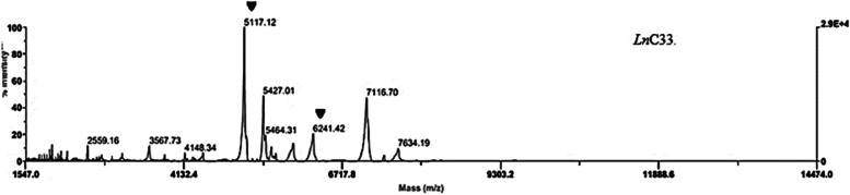 16S rRNA gene sequencing and MALDI TOF mass spectroscopy identification of Leuconostoc mesenteroides isolated from Algerian raw camel milk.