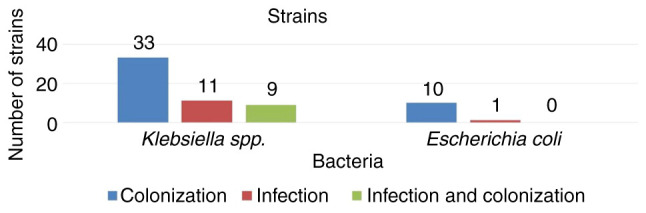 Risk factors in non‑surviving patients with infection with carbapenemase‑producing Enterobacterales strains in an intensive care unit.