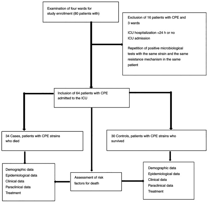 Risk factors in non‑surviving patients with infection with carbapenemase‑producing Enterobacterales strains in an intensive care unit.