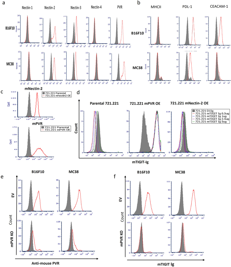 Studying TIGIT activity against tumors through the generation of knockout mice.