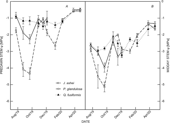 Excess energy and photosynthesis: responses to seasonal water limitations in co-occurring woody encroachers of the semi-arid Southern Great Plains.